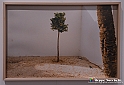 VBS_0868 - Mostra Liquida Photofestival